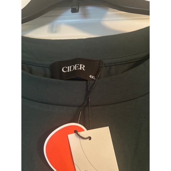 NWT Cider Brand Women's Green Shirred Sleeveless T Shirt Rayon/Spandex Size 4X - Picture 5 of 8